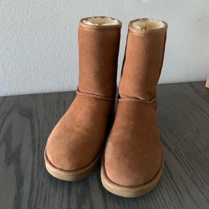 Women’s Classic Short ll Ugg Boots Chesnut